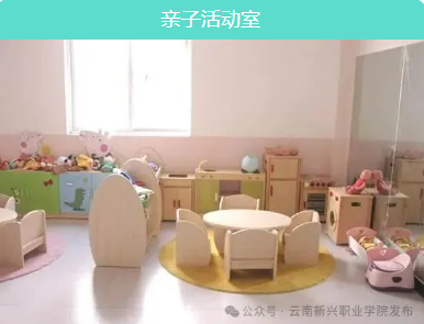婴幼儿托育服务与管理专业（现代学徒制专业）